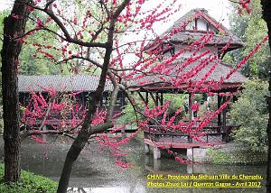 Chengdu avril 2017 - 024